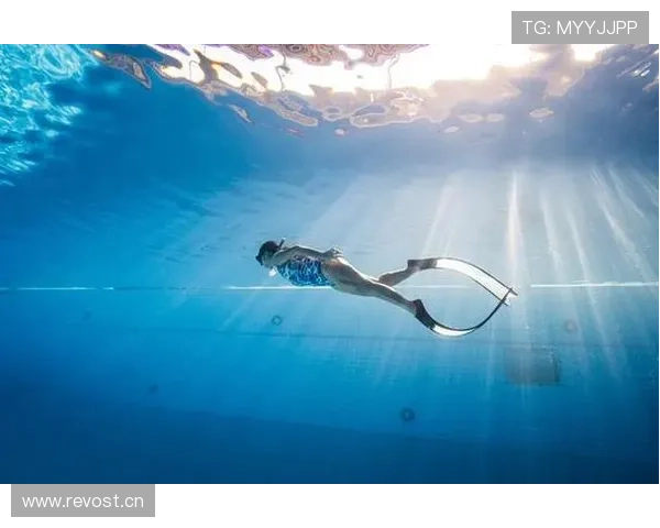 跳水观赛指南全面解析带你掌握规则技巧欣赏高光瞬间