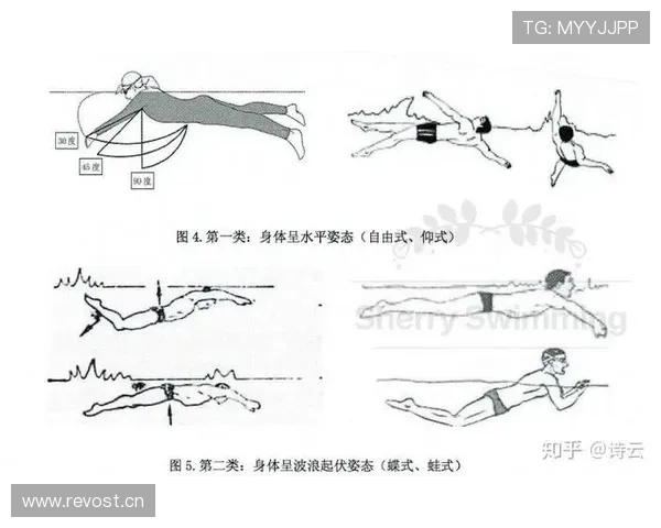 掌握科学游泳动作要领提升水中姿态与速度的系统训练方法